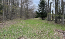 Screen Shot 2025-12-15 at 2.50.36 PM