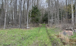 Screen Shot 2025-12-15 at 2.51.00 PM