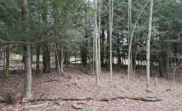 Screen Shot 2025-12-15 at 2.51.06 PM