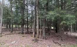 Screen Shot 2025-12-15 at 2.51.12 PM