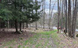 Screen Shot 2025-12-15 at 2.51.18 PM