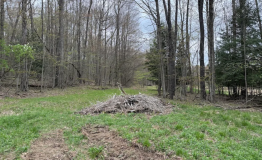 Screen Shot 2025-12-15 at 2.51.23 PM