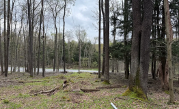 Screen Shot 2025-12-15 at 2.51.49 PM