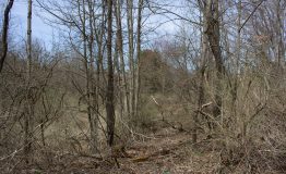 IMG_9205