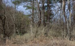 IMG_9209