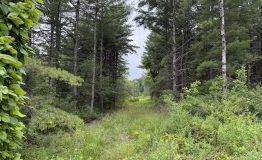 IMG_0022