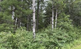 IMG_0026