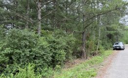 IMG_0028