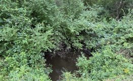 IMG_0040