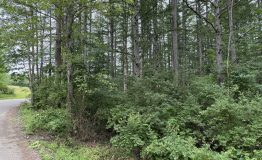 IMG_0045