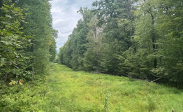 Screen Shot 2025-09-11 at 1.58.23 PM