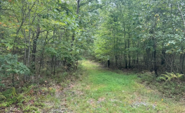 Screen Shot 2025-09-11 at 1.58.33 PM