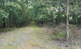 Screen Shot 2025-09-11 at 1.58.41 PM