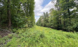 Screen Shot 2025-09-11 at 1.58.50 PM