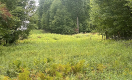 Screen Shot 2025-09-11 at 1.58.58 PM