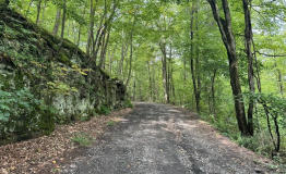 Screen Shot 2025-09-11 at 1.59.14 PM