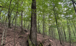 Screen Shot 2025-09-11 at 1.59.21 PM