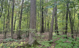 Screen Shot 2025-09-11 at 1.59.30 PM