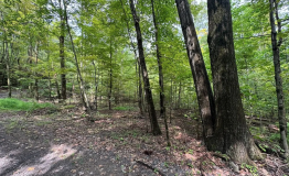 Screen Shot 2025-09-11 at 1.59.38 PM