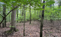 Screen Shot 2025-09-11 at 1.59.46 PM