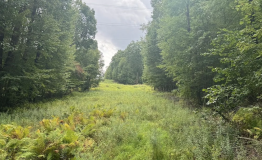 Screen Shot 2025-09-11 at 1.59.54 PM