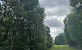 Screen Shot 2025-09-11 at 2.00.02 PM