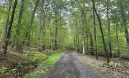 Screen Shot 2025-09-11 at 2.00.10 PM