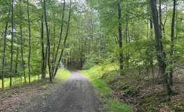 Screen Shot 2025-09-11 at 2.00.17 PM