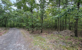 Screen Shot 2025-09-11 at 2.00.25 PM