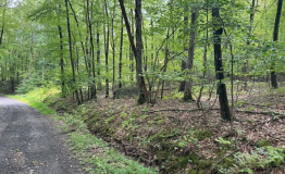 Screen Shot 2025-09-11 at 2.00.41 PM