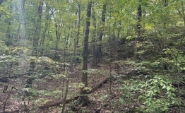 Screen Shot 2025-09-11 at 2.00.57 PM