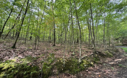 Screen Shot 2025-09-11 at 2.01.04 PM