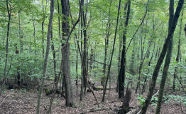 Screen Shot 2025-09-11 at 2.01.12 PM