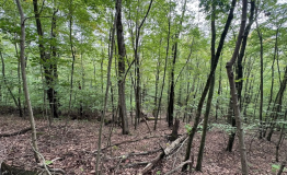 Screen Shot 2025-09-11 at 2.01.19 PM