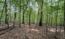 Screen Shot 2025-09-11 at 2.01.27 PM