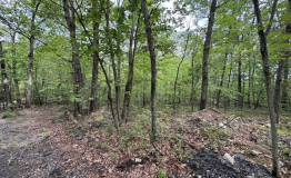 Screen Shot 2025-09-11 at 2.01.50 PM