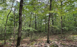 Screen Shot 2025-09-11 at 2.01.58 PM