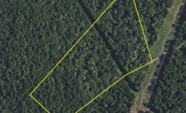 Screen Shot 2025-09-11 at 2.02.07 PM