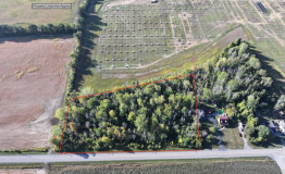 Screen Shot 2025-09-29 at 1.55.43 PM