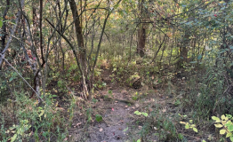 Screen Shot 2025-09-29 at 1.56.13 PM