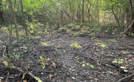 Screen Shot 2025-09-29 at 1.56.24 PM