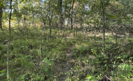 Screen Shot 2025-09-29 at 1.56.30 PM