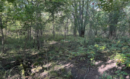 Screen Shot 2025-09-29 at 1.56.37 PM