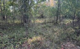 Screen Shot 2025-09-29 at 1.56.43 PM