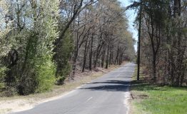 IMG_0576