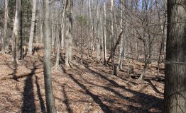 IMG_5871