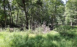 0M2A5859