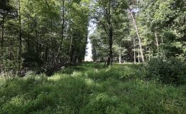 0M2A5863