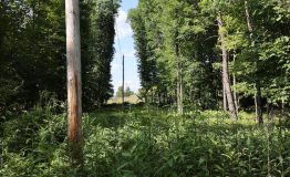 0M2A5869