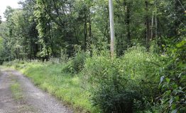0M2A5885